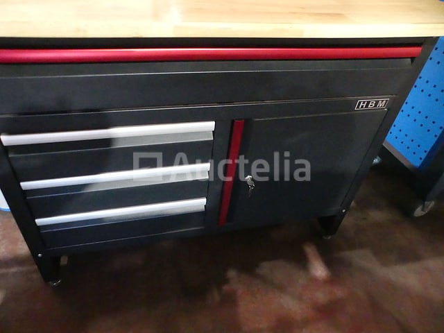 HBM machinewerkbank – foto 3 – kavel bij Auctelia, Éghezée