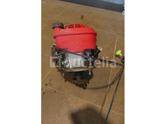 Honda Maaiermotor – foto 3 – kavel bij Auctelia, Binche