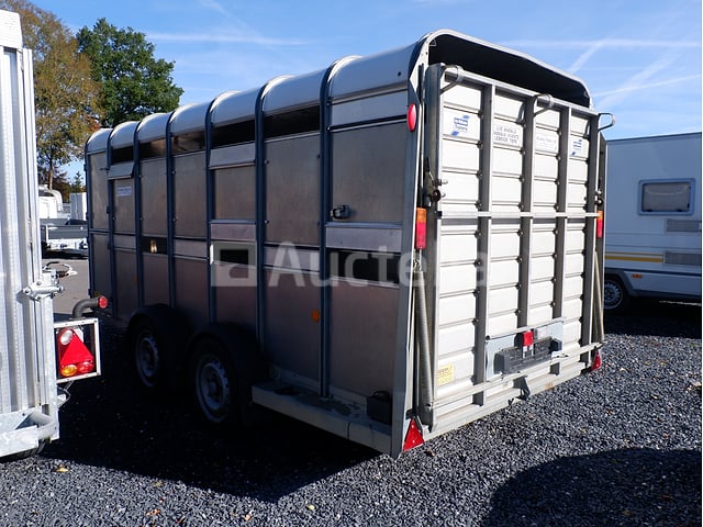 Ifor Williams DB dubbelassige veetrailer (VIN:SCKD00000L3015040) – foto 6 – kavel bij Auctelia, Fauvillers