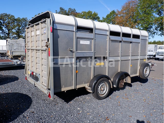 Ifor Williams DB dubbelassige veetrailer (VIN:SCKD00000L3015040) – foto 4 – kavel bij Auctelia, Fauvillers