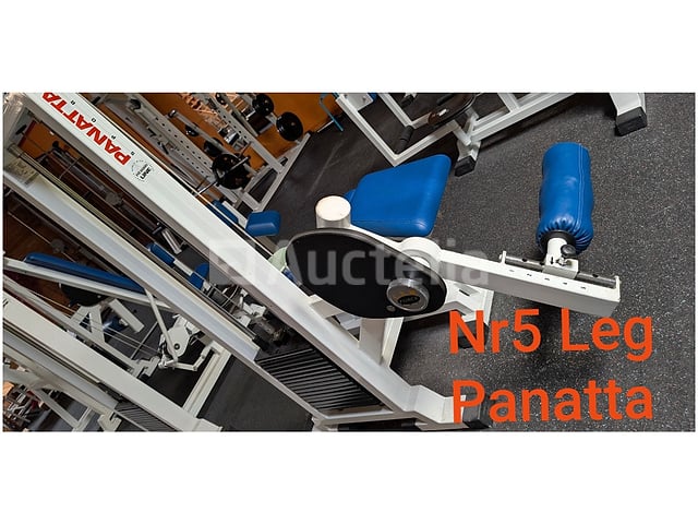 PANATTA LEG CURLING FIT – 1F124 – Professionele beenmachine – foto 3 – kavel bij Auctelia, Bastogne