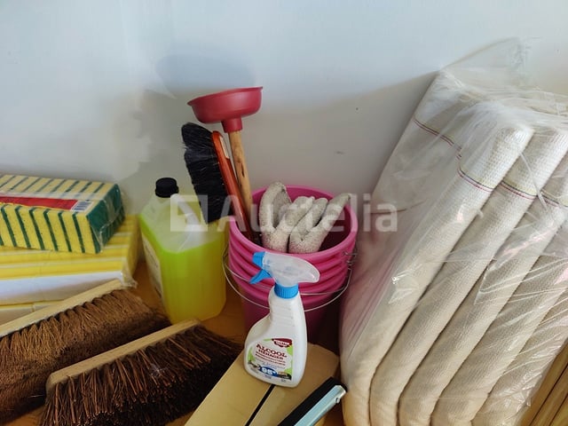 Partij 1 van schoonmaak- en onderhoudsapparatuur – 24 artikelen - 187 stuks – foto 4 – kavel bij Auctelia, Herstal