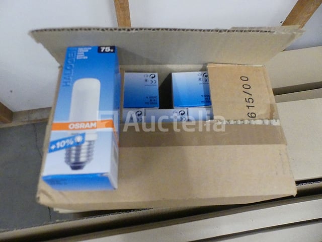Philips-lampen en lichtbuizen in de verkoop – foto 6 – kavel bij Auctelia, Anderlecht