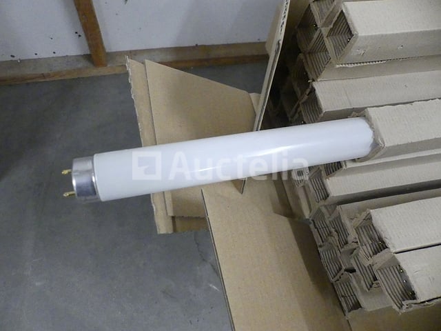 Philips-lampen en lichtbuizen in de verkoop – foto 3 – kavel bij Auctelia, Anderlecht