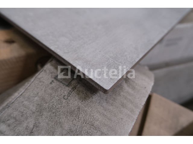 Plinten en tegels CRZ 64 – foto 3 – kavel bij Auctelia, Paliseul