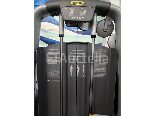 Professioneel Lendenkrachttrainingsapparaat - Technogym onderrug – foto 4 – kavel bij Auctelia, Bastogne
