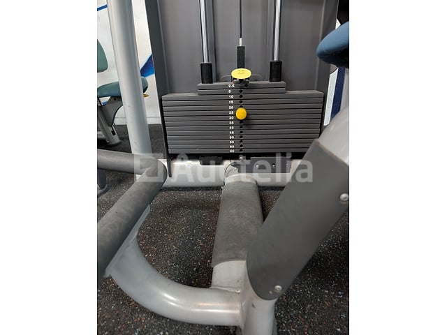 Professioneel Lendenkrachttrainingsapparaat - Technogym onderrug – foto 2 – kavel bij Auctelia, Bastogne