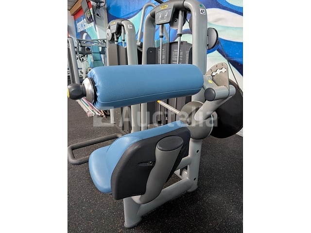 Professioneel Lendenkrachttrainingsapparaat - Technogym onderrug – foto 3 – kavel bij Auctelia, Bastogne