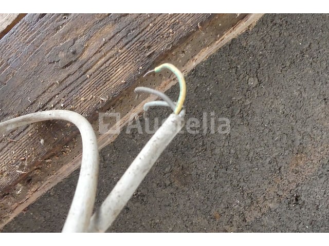 Reciproke zaag – foto 7 – kavel bij Auctelia, Fauvillers