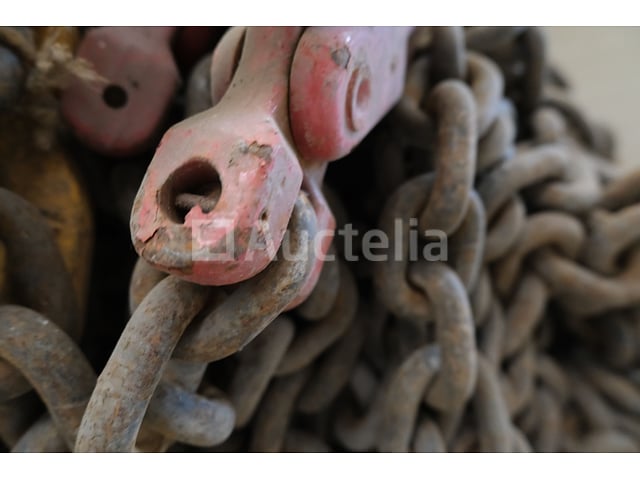 REF:130237A - 2-strengs kettingriem – foto 5 – kavel bij Auctelia, Machelen