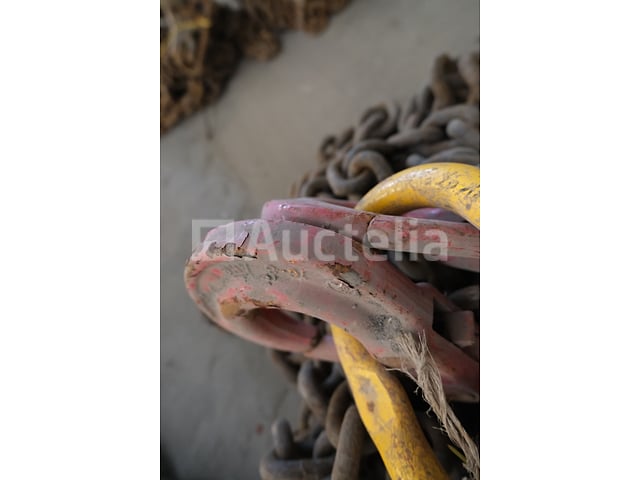 REF:130237A - 2-strengs kettingriem – foto 4 – kavel bij Auctelia, Machelen