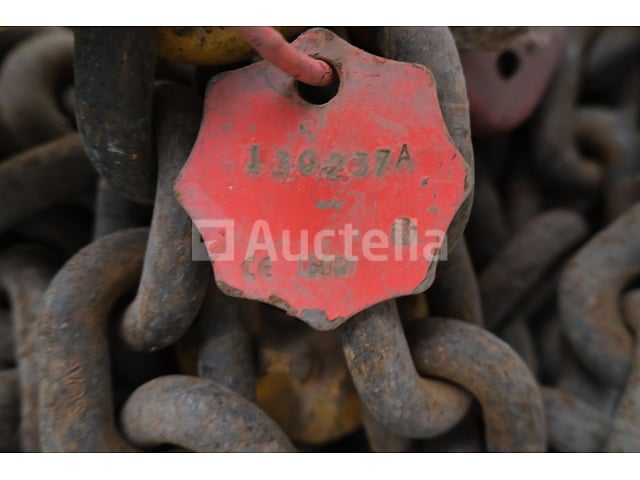 REF:130237A - 2-strengs kettingriem – foto 6 – kavel bij Auctelia, Machelen