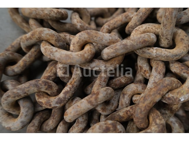 REF:4647 - 1-strengs kettingriem - 3000 kg – foto 4 – kavel bij Auctelia, Machelen
