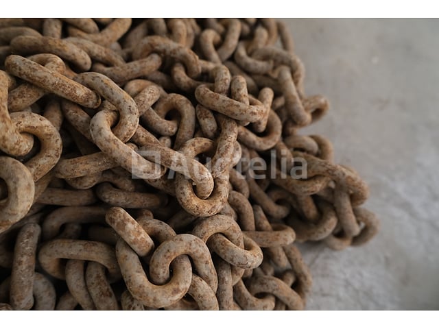 REF:4648 - 1-strengs kettingriem - 3000 kg – foto 4 – kavel bij Auctelia, Machelen