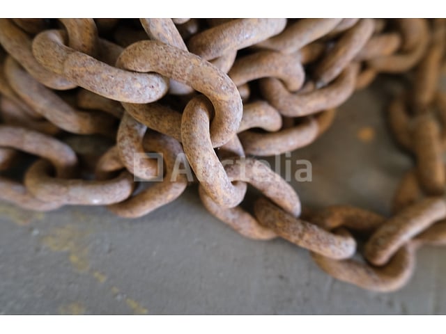 REF:4650 - 1-strengs kettingriem - 3000 kg – foto 4 – kavel bij Auctelia, Machelen