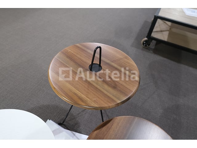 Set tabellen – foto 5 – kavel bij Auctelia, Mont-de-l'Enclus