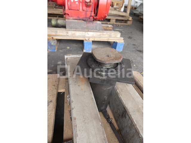 Strength Jack – foto 3 – kavel bij Auctelia, Fauvillers