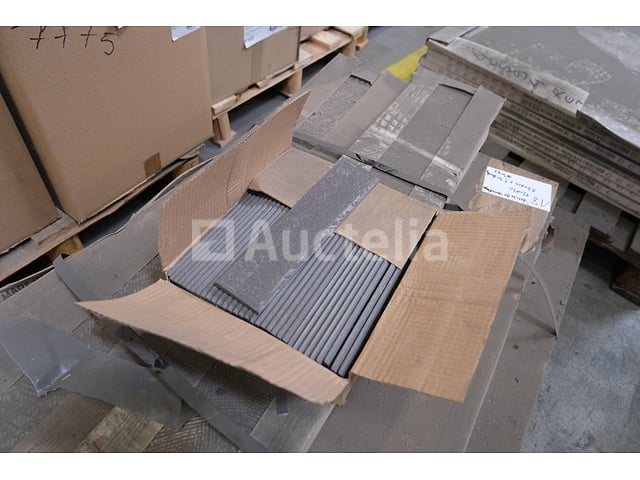 Tegels – foto 2 – kavel bij Auctelia, Paliseul