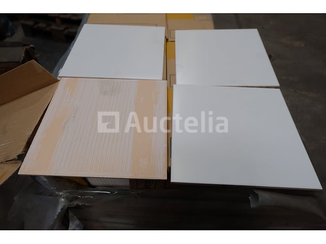 Tegels 20X20 (+- 96 m²) Recer – foto 7 – kavel bij Auctelia, Paliseul