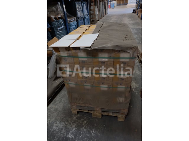 Tegels 20X20 (+- 96 m²) Recer – kavel bij Auctelia, Paliseul