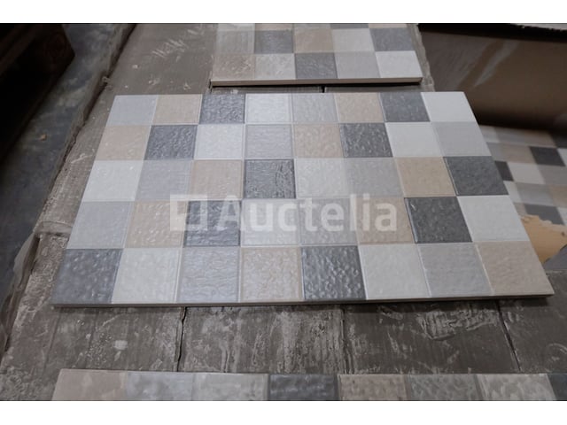 Tegels en plinten – foto 7 – kavel bij Auctelia, Paliseul