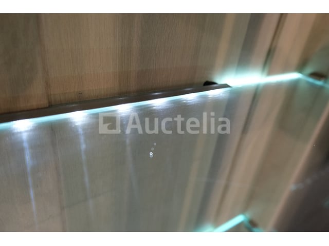Verlichte vitrinekast – foto 6 – kavel bij Auctelia, Mont-de-l'Enclus