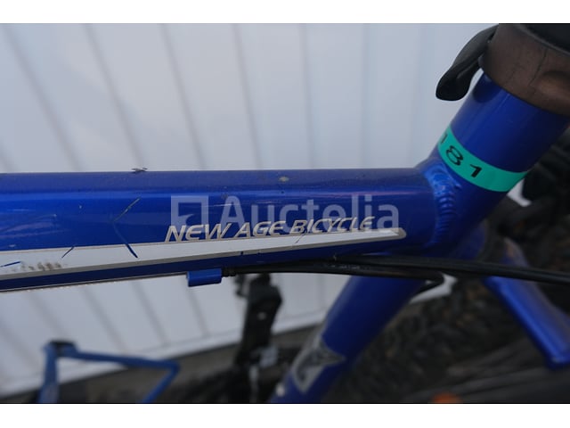Viper Bike – foto 7 – kavel bij Auctelia, Flémalle