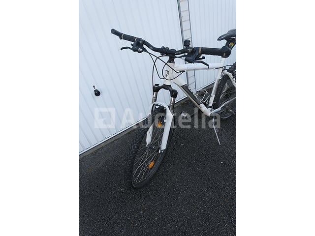 Viper Bike – foto 2 – kavel bij Auctelia, Flémalle