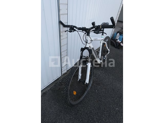 Viper Bike – foto 2 – kavel bij Auctelia, Flémalle