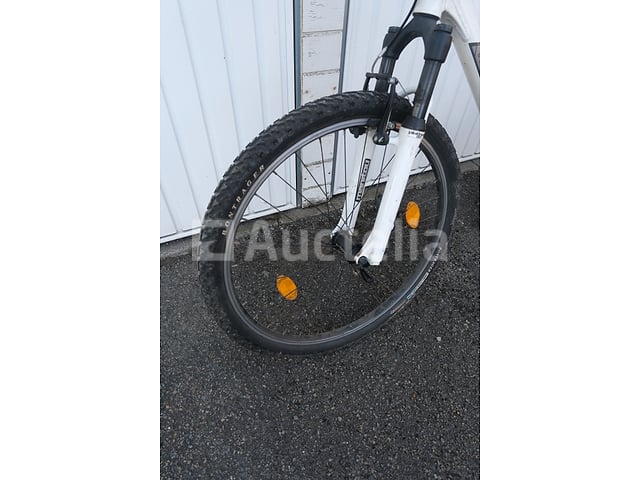 Viper Bike – foto 7 – kavel bij Auctelia, Flémalle