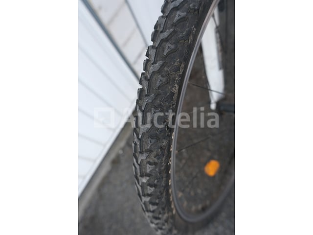 Viper Bike – foto 8 – kavel bij Auctelia, Flémalle