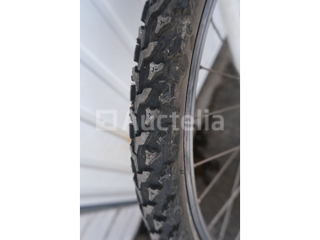 Viper Bike – foto 6 – kavel bij Auctelia, Flémalle