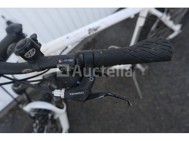 Viper Bike – foto 4 – kavel bij Auctelia, Flémalle