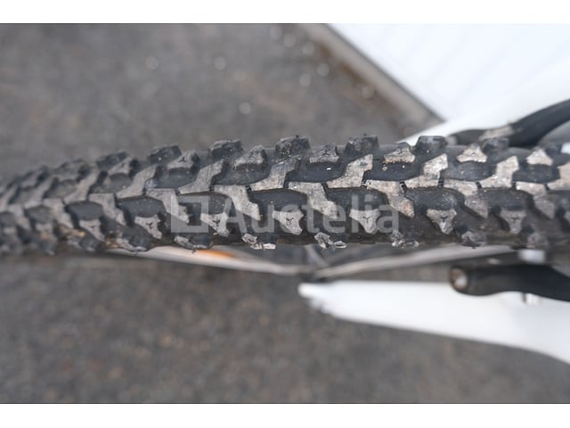 Viper Bike – foto 7 – kavel bij Auctelia, Flémalle