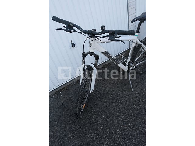 Viper Bike – foto 2 – kavel bij Auctelia, Flémalle