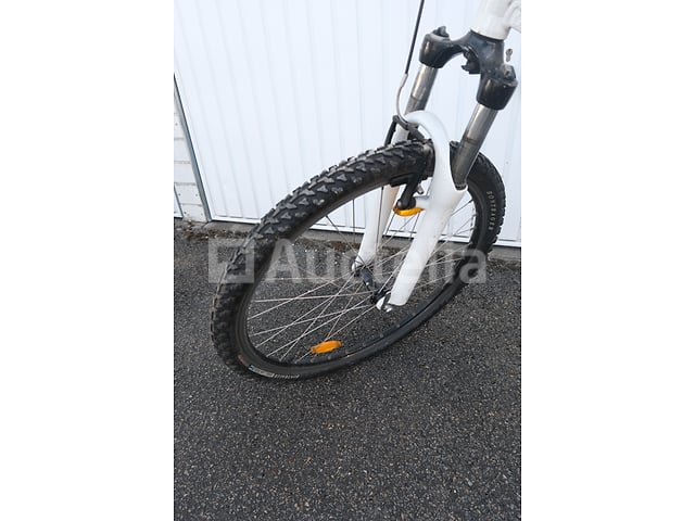 Viper Bike – foto 6 – kavel bij Auctelia, Flémalle