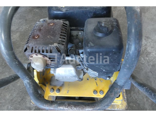 Wacker-Neuson Vibratieplaat WPP1550 – foto 6 – kavel bij Auctelia, Tintigny