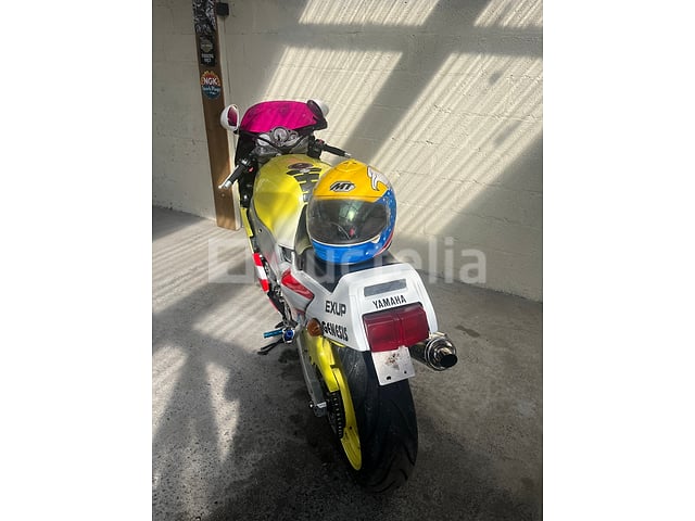 Yamaha - FZR 1000 EXUP Deltabox (1991) – foto 4 – kavel bij Auctelia, Paliseul