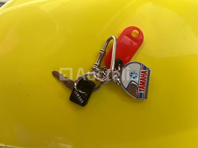 Yamaha - FZR 1000 EXUP Deltabox (1991) – foto 6 – kavel bij Auctelia, Paliseul